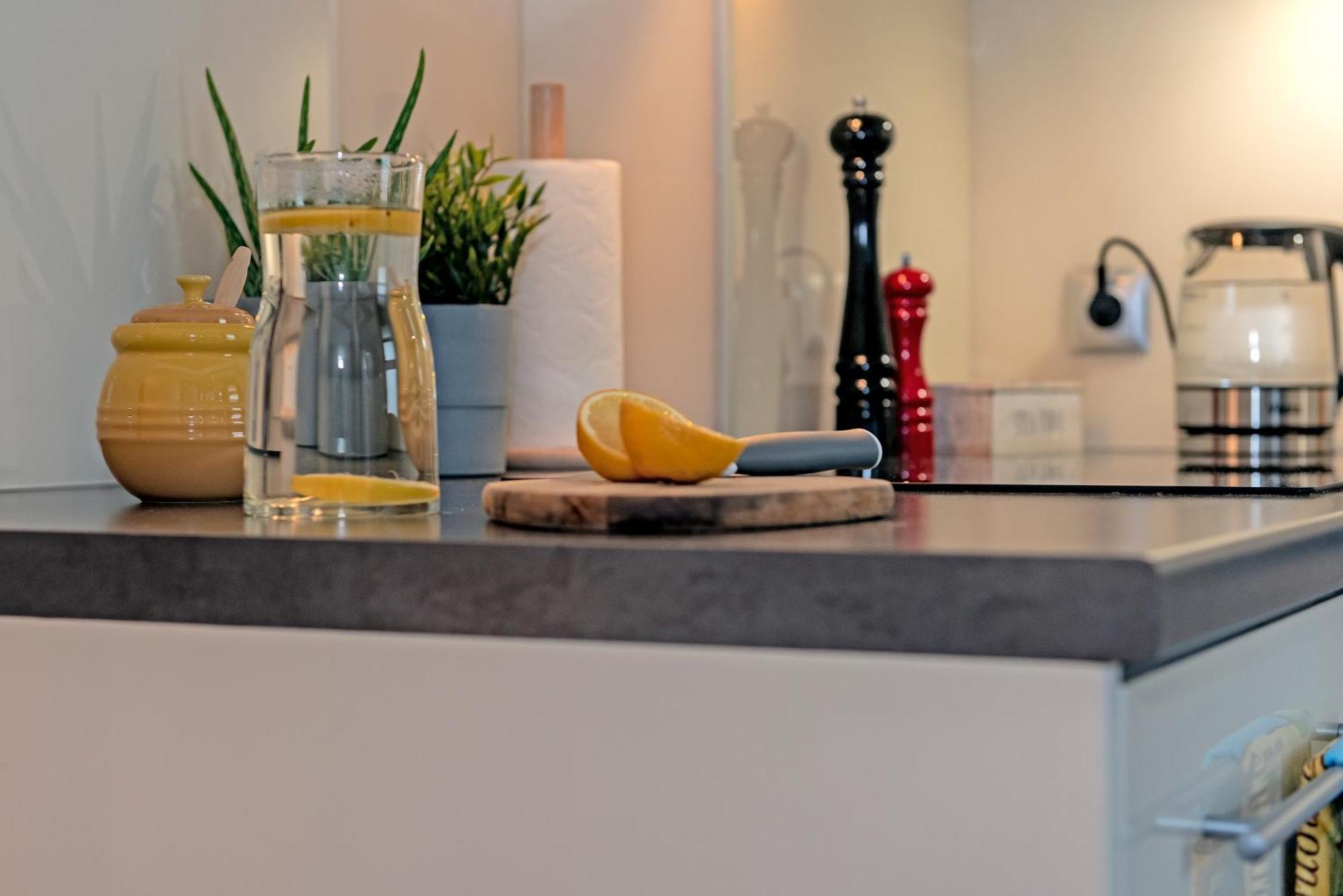 3D Wygoda Apartamenty Krasków Cameră foto